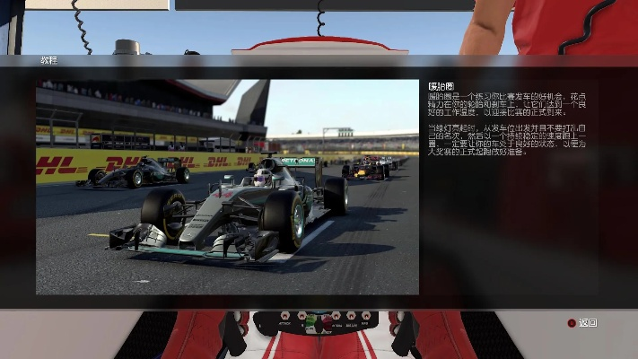 F12013赛车调校方法大介绍（从入门到精通，让你成为赛道上的王者）-第3张图片-www.211178.com_果博福布斯