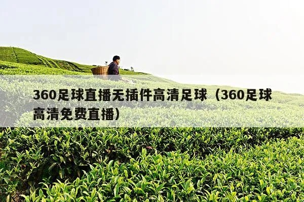 360度全景足球直播免费观看，不容错过-第1张图片-www.211178.com_果博福布斯