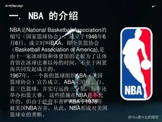 NBA是什么意思？初学者必知的NBA入门指南-第3张图片-www.211178.com_果博福布斯