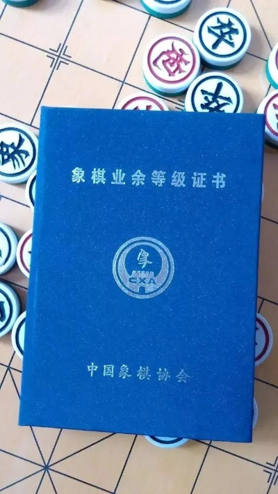 中国象棋等级比赛报名从业余选手到职业棋手的必经之路-第3张图片-www.211178.com_果博福布斯